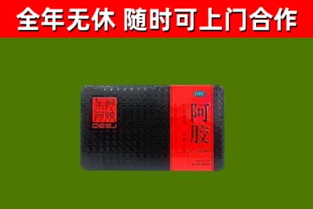 端州回收阿胶